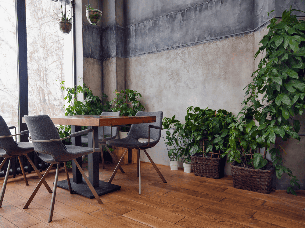 Greenery Decoration for Cafe Interior Design